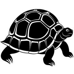 turtle vector illustration