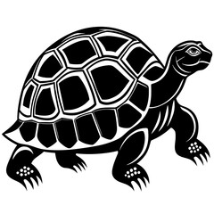 turtle vector illustration