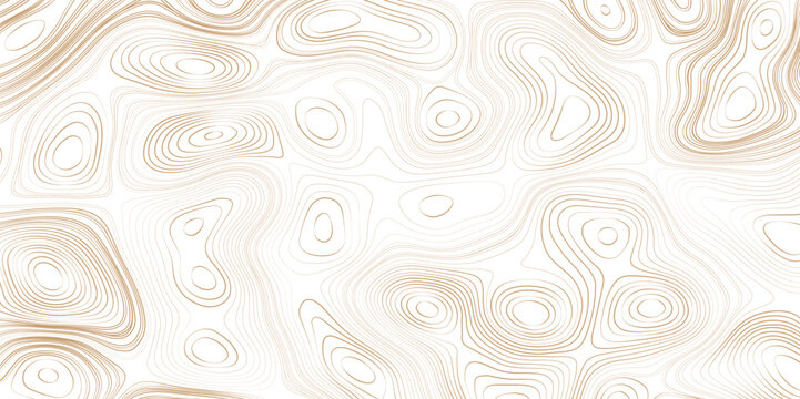 Topographic map background concept with space for your copy. Vector abstract illustration. Brown contour line map image. Geography concept.