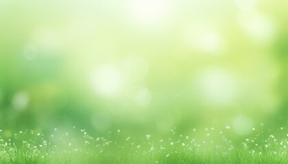 Obraz premium spring light green blur background
