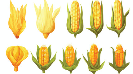 Sweet corn set fresh corncobs popcorn canned corn v