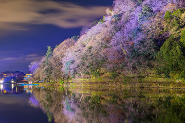 日本の風景　古都京都　嵐山花灯路　嵐峡