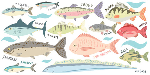 set of edible fish - obrazy, fototapety, plakaty
