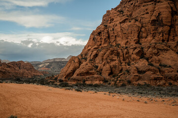 Shrubs and Landscape Desert Rocks