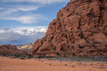 Shrubs and Landscape Desert Rocks