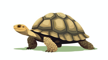 Turtle tortoise reptile animal with relief shell si - obrazy, fototapety, plakaty