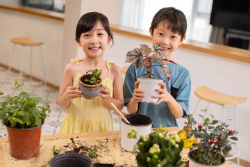 Cute children planting potted plant at home