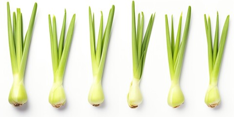 A row of green onions are shown in a close up. The onions are all different sizes and are arranged in a straight line. Concept of freshness and natural beauty, as the onions are a common