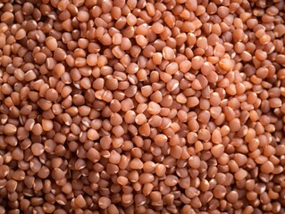 Fototapeta premium A pile of brown rice with a lot of grains. The rice is spread out and looks like it is in a pile