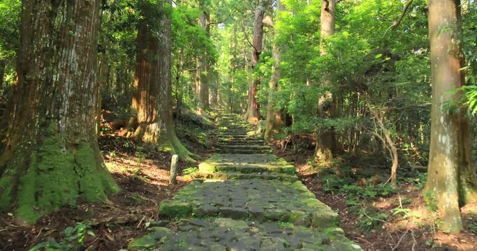 熊野古道の大門坂を歩く　和歌山県
