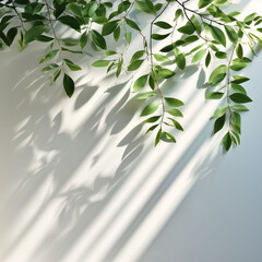 green leaves Minimalistic light background with blurred foliage shadow on a white wall. Beautiful background for presentation