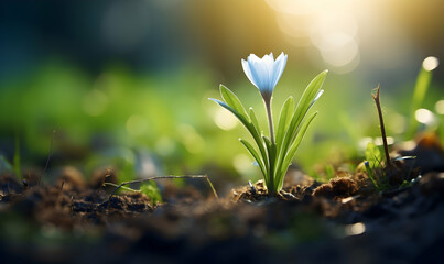 Closeup shot of a tiny flower growing in fresh