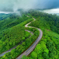 Fototapeten Rainy Serenity: Aerial View of Curving Forest Road Amidst Lush Greenery" Generative AI © Albaloshi
