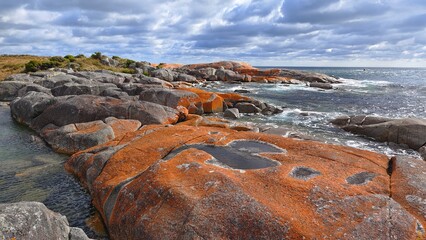Bay of Fires, Australia Tasmania. Red coastal cliffs on the north east coast of the island of Tasmania.