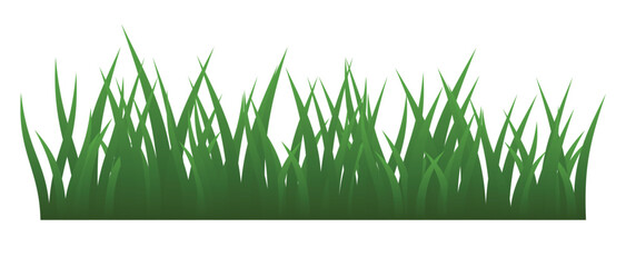 Green Grass Borders on White Background. Vector