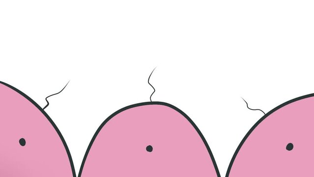 Biological mononuclear cells with flagella in the form of cartoon animation. The art is suitable as a decoration for a scientific video or project.