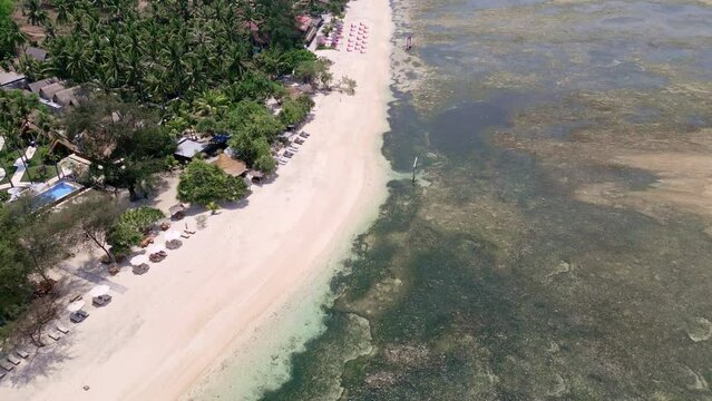 Aerial view of a tropical beach with sunshades and fringing coral reef at low tide
