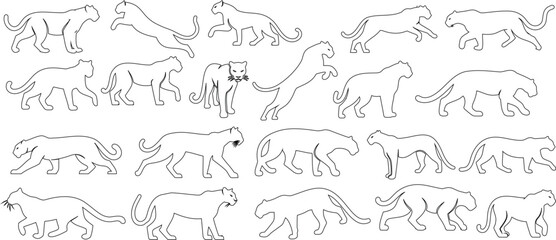 Panther sketch, line art of black panther, minimalist design, dynamic poses © Arafat