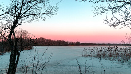 spring morning, evening, swamp lake shore, swamp vegetation at the end of winter, early spring