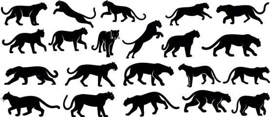 Panther silhouette , dynamic poses of black panther vector, elegant movement, strength, grace, wildlife, © Arafat