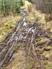 Muddy path with traces of bicycles in the mud - obrazy, fototapety, plakaty