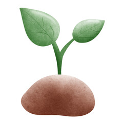 watercolor plant growing 