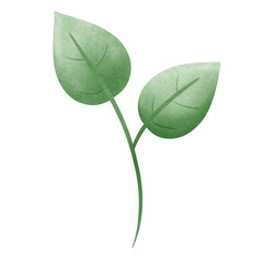 watercolor green leaf isolated on white background