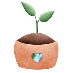 plant in a pot
