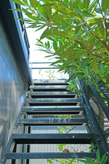 Empty roof access metal stairs among green foliage