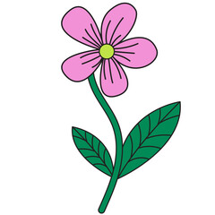 Flower Illustration