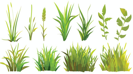 Grass vector flat vector isolated on white background - obrazy, fototapety, plakaty