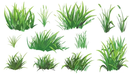 Poster Grass vector flat vector isolated on white background © Ideas