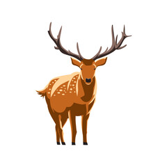 vector illustration of a deer standing with big wide antlers