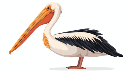 Fototapeta na wymiar Cartoon pelican isolated on white background flat vector