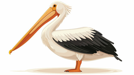 Fototapeta na wymiar Cartoon pelican isolated on white background flat vector