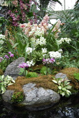 Beautiful and lush garden