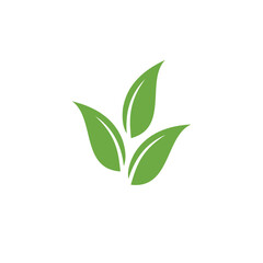 Leafs green icon inspiration