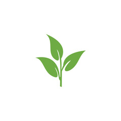 Green flower leaves design Inspiration