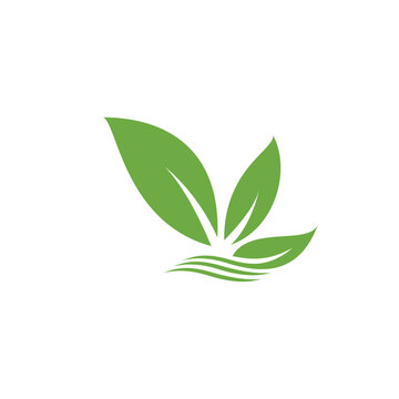 Triangel leaf green 