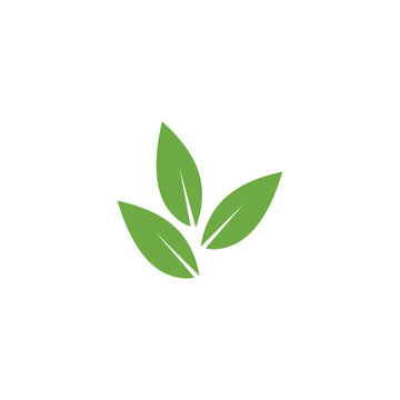 Leaf  Inpiration logo design vector 