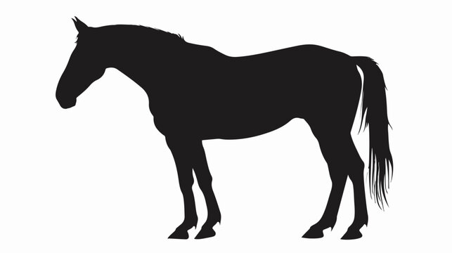 Horse Silhouette flat vector isolated on white background