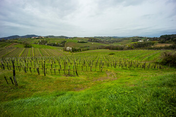 Panoramic view of the Collio hills, Cormons, between Gorizia and Nova Gorica. European Capital of Culture 2025. Typical local products vineyards and wines. Spot for picnic on top the hill. - obrazy, fototapety, plakaty
