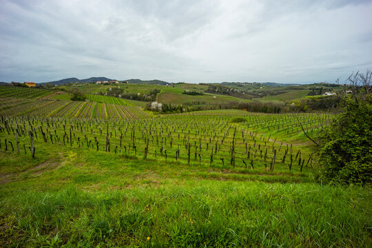 Panoramic view of the Collio hills, Cormons, between Gorizia and Nova Gorica. European Capital of Culture 2025. Typical local products vineyards and wines. Gonjače Tower places to visit and tradition