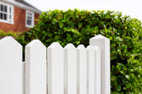 White picket fence and tidy green hedge with blurred out unidentifiable house in the background 