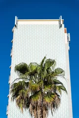 Foto auf Leinwand Eine Palme vor einer Hochhausfassade im Stadtviertel Barceloneta in Barcelona,Spanien © Robert Poorten