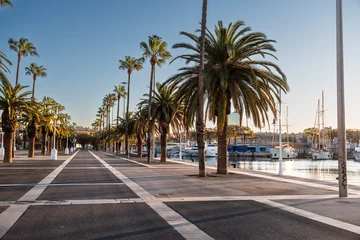 Foto auf Leinwand Promenade am alten Hafen mit Palmen in Barcelona, Spanien © Robert Poorten