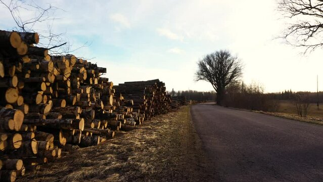 Logs stacked in piles on the side of the road during golden hour