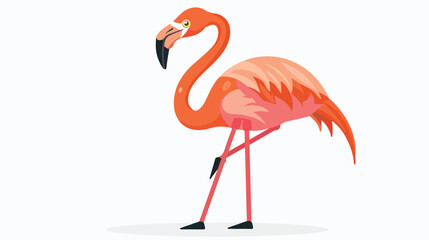 exotic bird flamingo icon  flat vector isolated on white