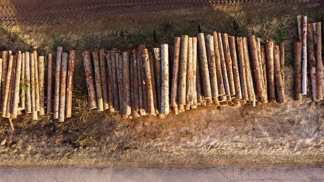 Piles of the cut down logs on a side of the road, aerial downwards view