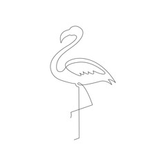 Flamingos vector illustration